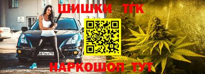 герыч Кингисепп