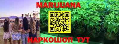 герыч Кингисепп