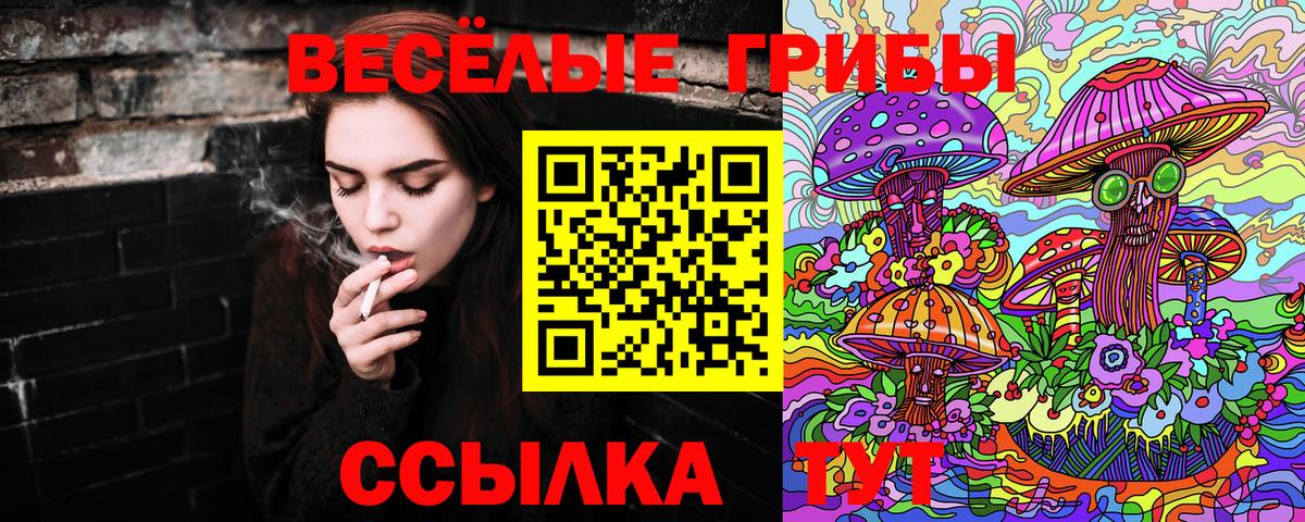 Галлюциногенные грибы Magic Shrooms Кузнецк